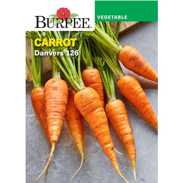 Carrot Danvers 126 Vegetable Seed