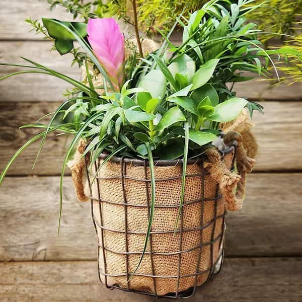 All Natural Gift Basket with Plant Liner