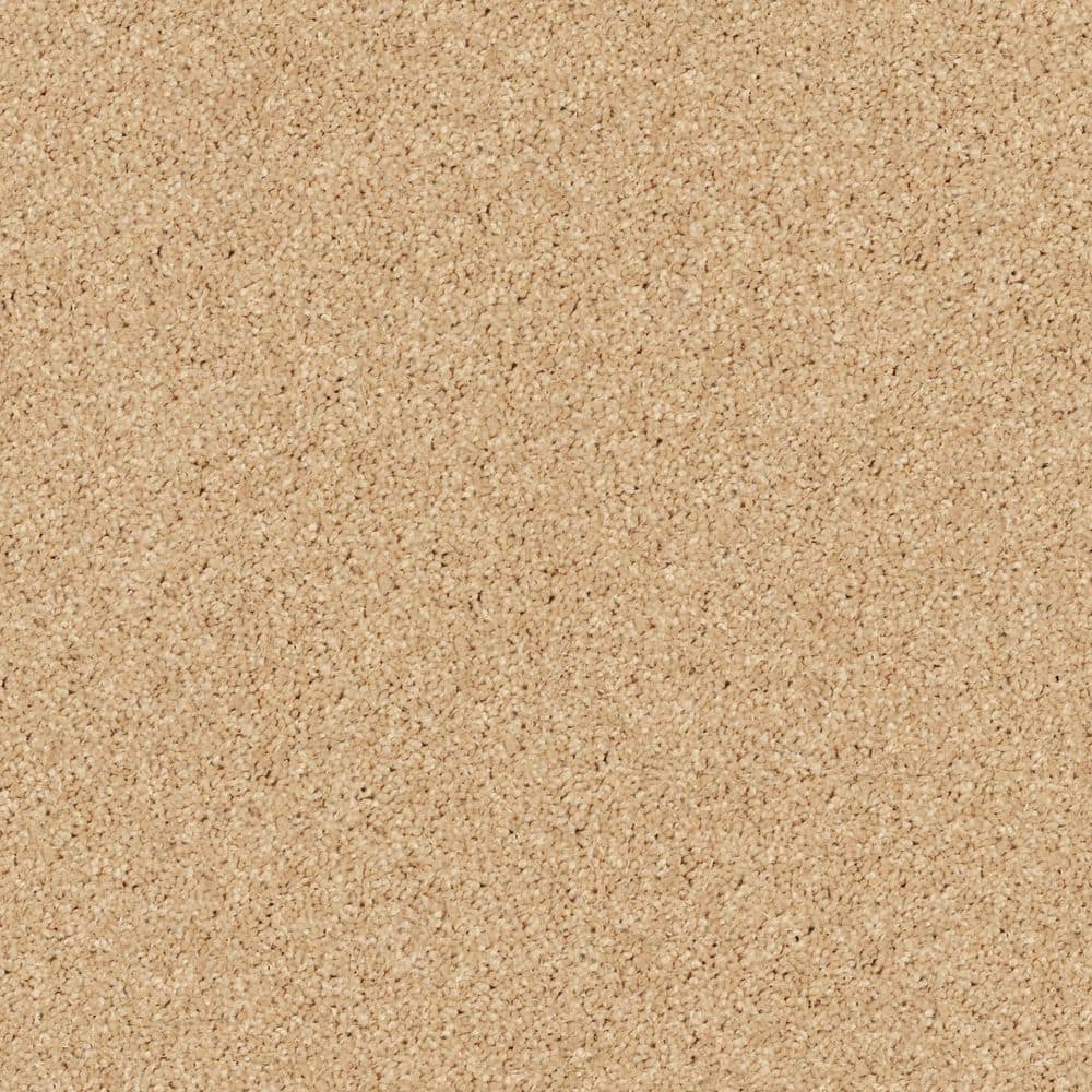 8 in. x 8 in. Texture Carpet Sample - Cottage Comforts - Color Golden Honey price history on PriceWatchPro