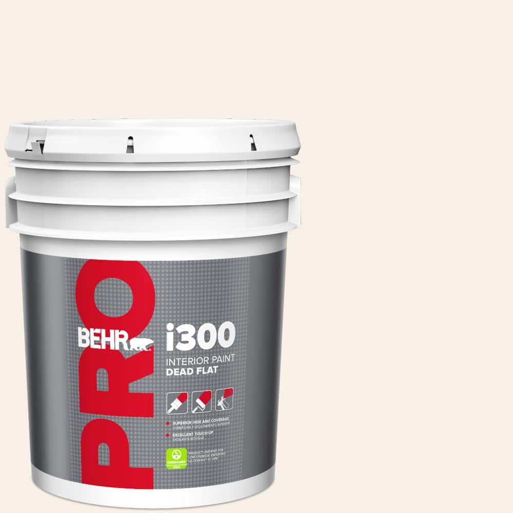 5 gal. #RD-W05 Moonlit Beach Dead Flat Interior Paint price history on PriceWatchPro