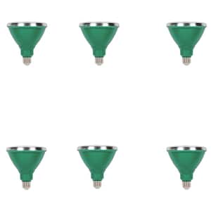 100W Equivalent Green PAR38 LED Weatherproof Flood Light Bulb (6-Pack)