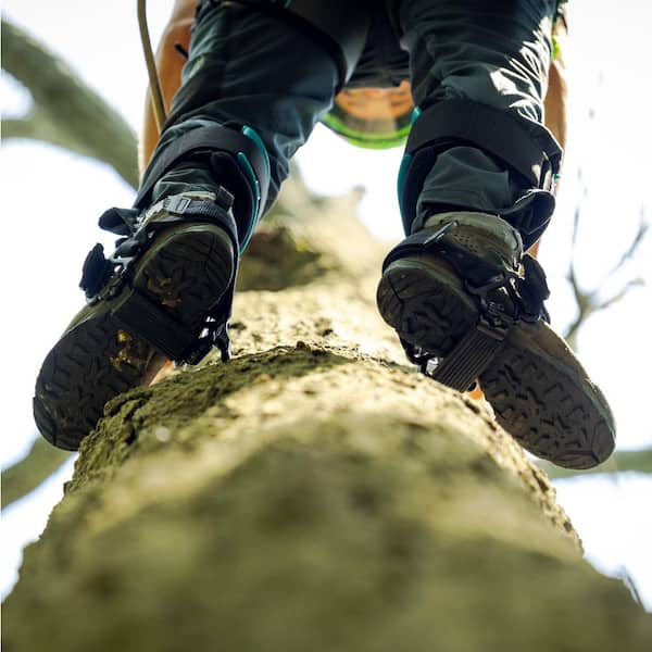 bushdebrunt アシモクラフツ　バリスティクスシェルコン50スノーピーク Notch Steel Tree Gaffs Climbers 99695T - The Home Depot