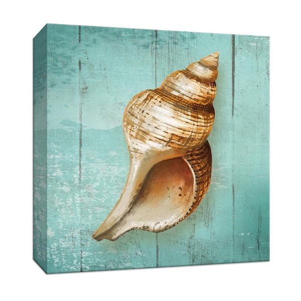 PTM Images 15 in. x 15 in. ''Conch'' By Canvas Wall Art
