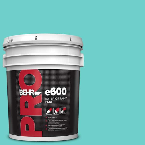 BEHR PRO 5 gal. #P450-4 Hidden Sea Glass Flat Exterior Paint