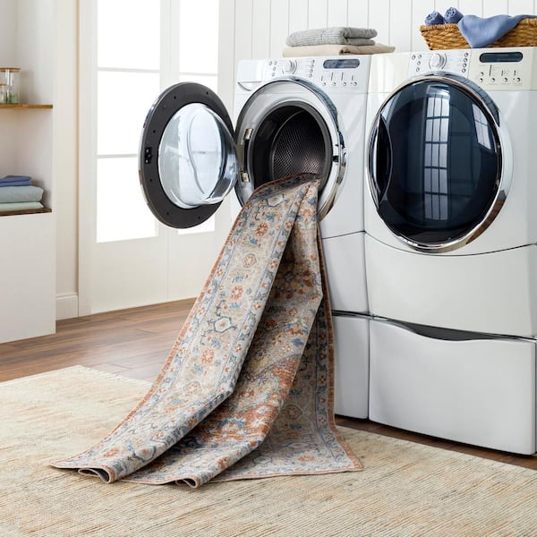 Lillian Sky Blue/Light Brown 5 ft. x 7 ft. Indoor Machine-Washable Area Rug