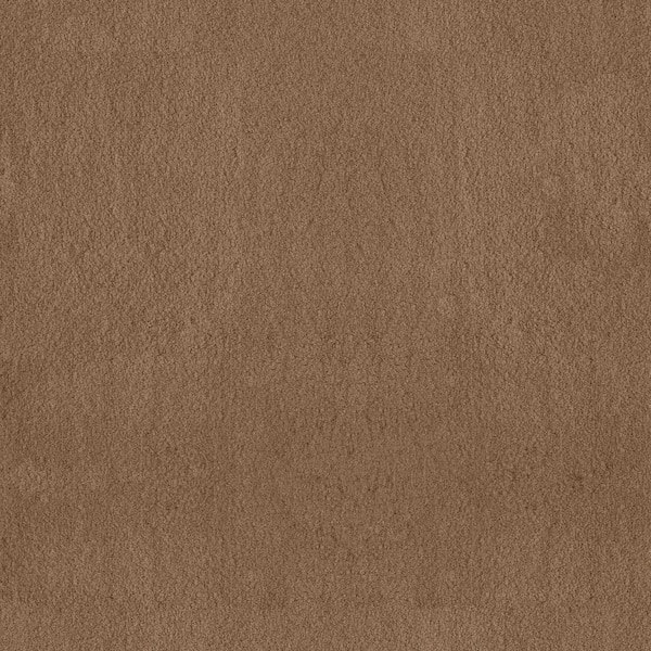 Dreamy Daze I Tawny Beige 56 oz. Nylon Texture Carpet - Installation Required