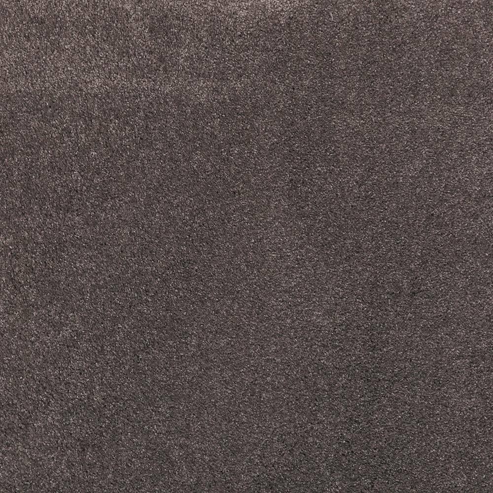 8 in. x 8 in. Texture Carpet Sample - Plush Dreams I -Color Lavish price history on PriceWatchPro