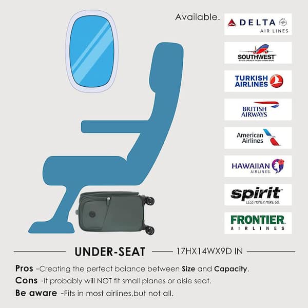 14 in. Grey Spinner Carry On Underseat Luggage with USB Port, Softside Small Suitcase, Plus