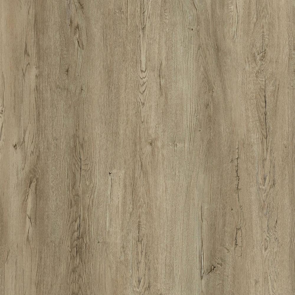 【LVT】 COREtec Premium Sand Dollar Oak Vinyl Plank Flooring - 8.85