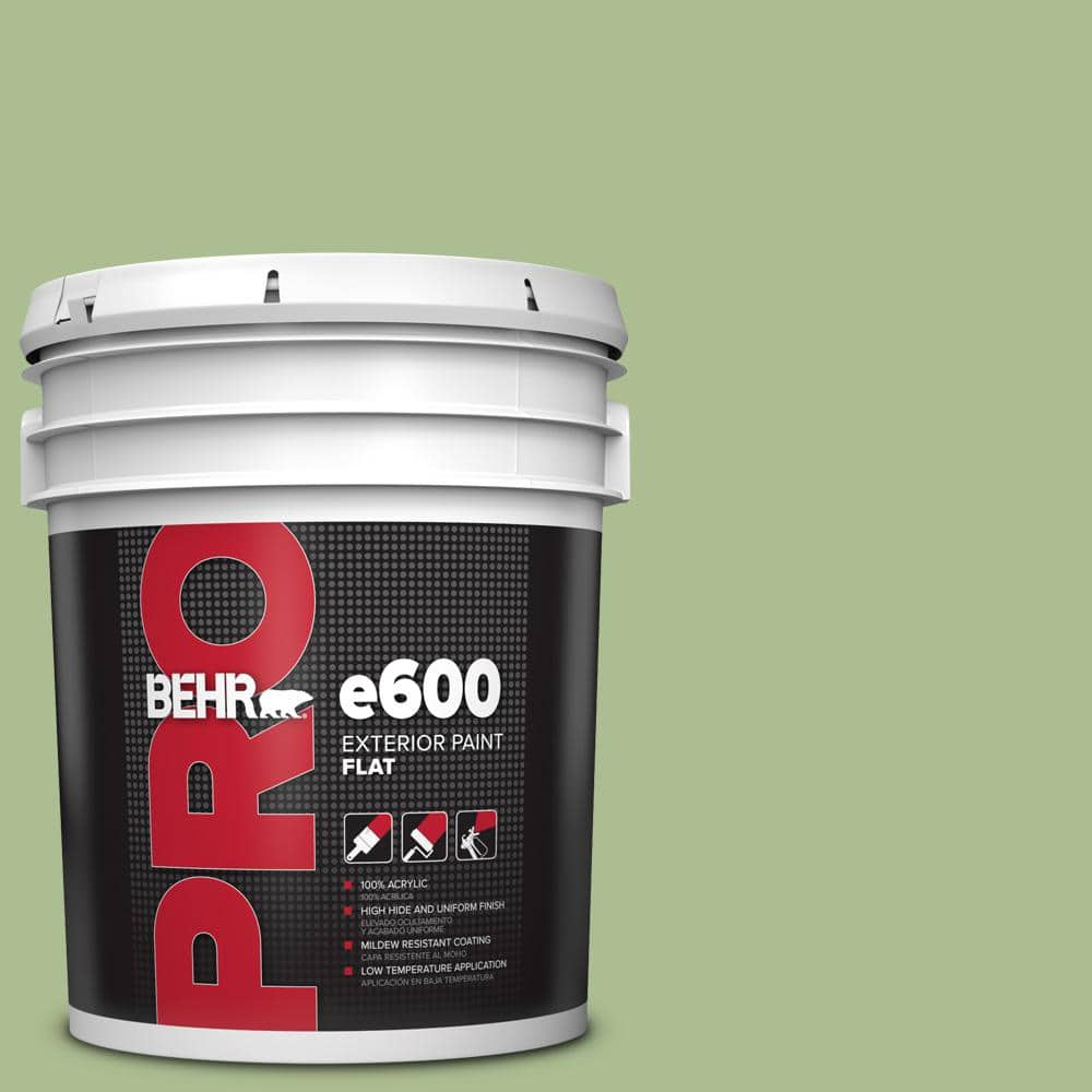 5 gal. #M370-4 Chervil Leaves Flat Paint price history on PriceWatchPro