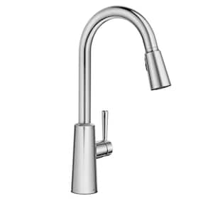 Riley Single Handle Pull-Down Sprayer Kitchen Faucet with Reflex and Power Clean in Chrome