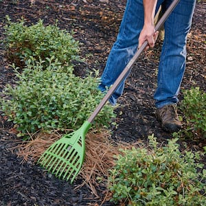 60 in. handle Collector 8 in. Poly Shrub Rake