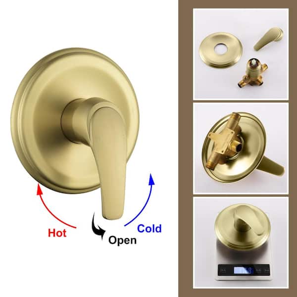 Have a question about Fapully 7-spray 4.72 in. Dual Shower