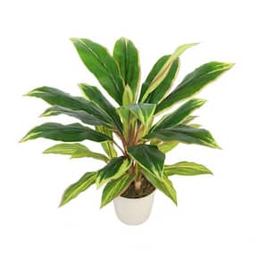 25 in. Green and Red Artificial Dracaena Plant in a Cream White Pot