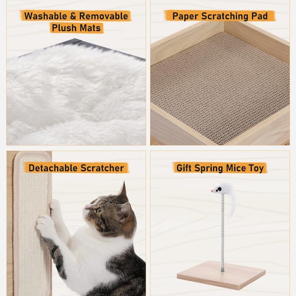 from cat st　10冊 from cat st 10冊 Kawasaki Tomcat ZX-10 - Wikipedia