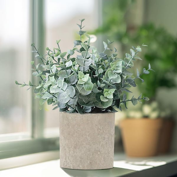 Unbranded 6 in Whitewash Gray Indoor Artificial Eucalyptus Shrub Greenery  Small Faux Plant for Home Bathroom Shelf 3-Pack 59B1124C1888