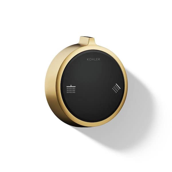 Anthem Duo Shower Control Kit in Vibrant Brushed Moderne Brass