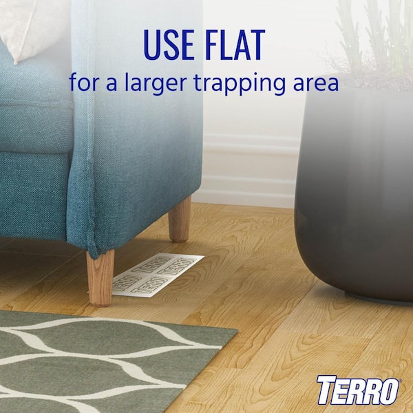 TERRO Indoor Insect Trap (12-Pack) in the Insect Traps department at