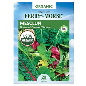 Organic Mesclun Gourmet Greens Mix Vegetable Seed