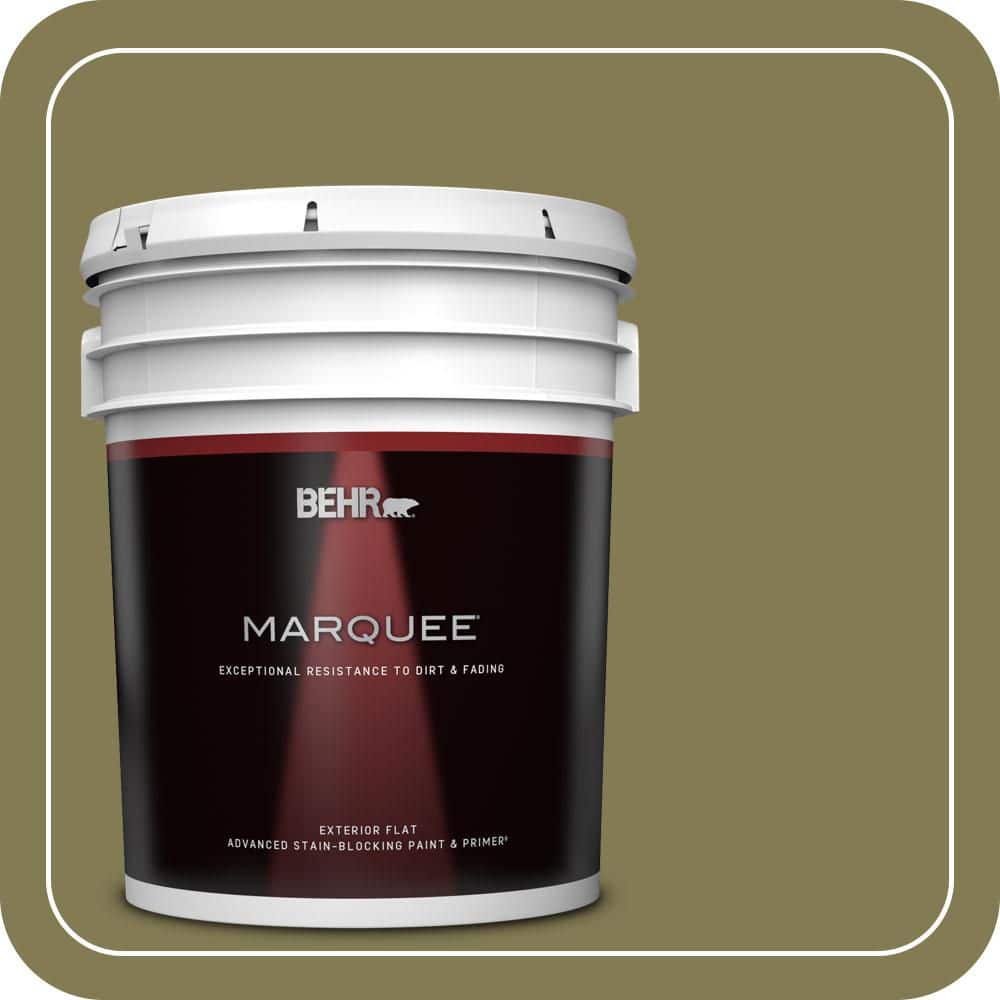 5 gal. Home Decorators Collection #HDC-AC-16A Fern Grove Flat Exterior Paint & Primer price history on PriceWatchPro