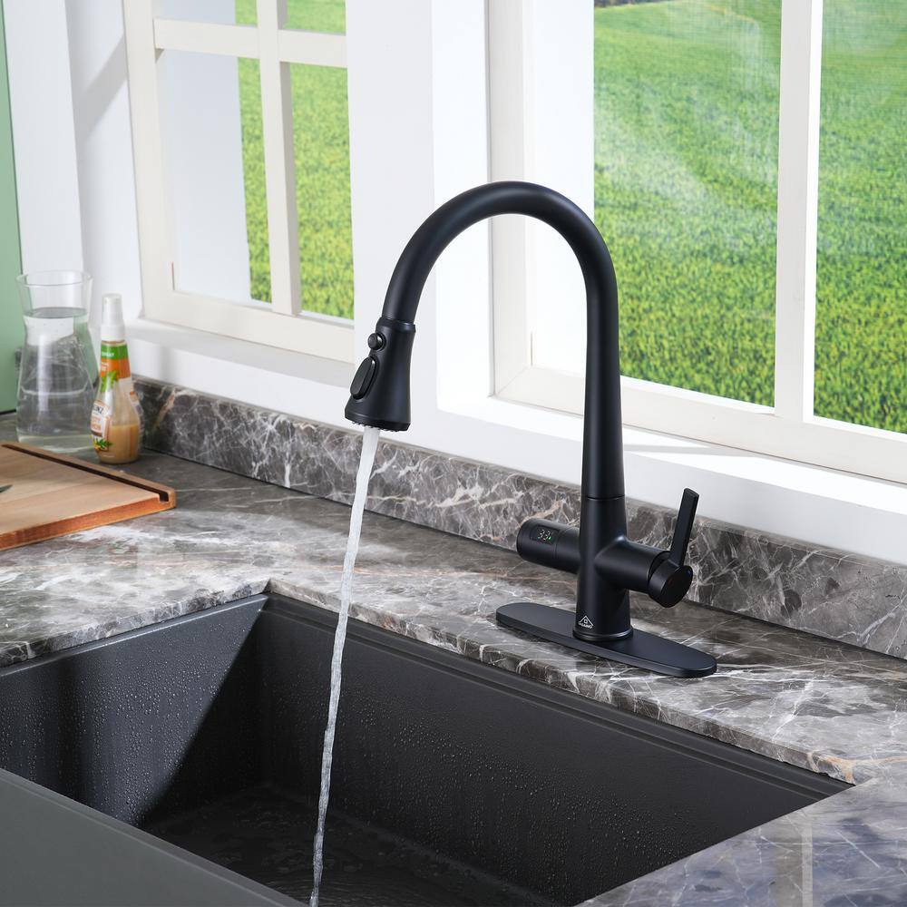 Matte Black Single Handle Pull-Out Sprayer Kitchen Faucet with Digital Display