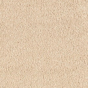Ambrosina I  - Calm Spirit - Beige 30 oz. Triexta Texture Installed Carpet