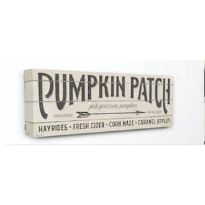 10 in. x 24 in. "Pumpkin Patch Fall Halloween Holiday Word Wood Texture" by Stephanie Workman Marrott Canvas Wall Art