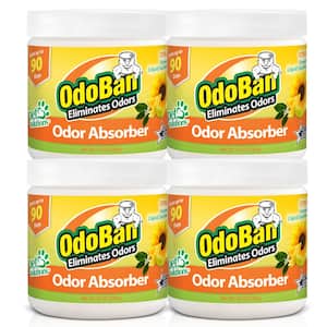 14 oz. Citrus Solid Odor Absorber, Odor Eliminator for Smoke Odor and Musty Smell in Home, Bathroom, Pet Areas (4-Pack)