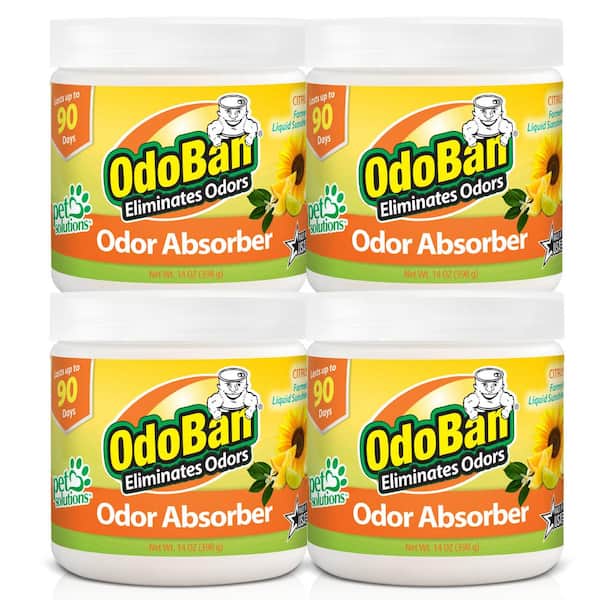 14 oz. Citrus Solid Odor Absorber, Odor Eliminator for Smoke Odor and Musty Smell in Home, Bathroom, Pet Areas (4-Pack)