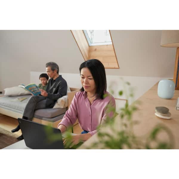 Google Nest Wifi Pro (Wi-Fi 6E) - Fog GA03902-US - The Home