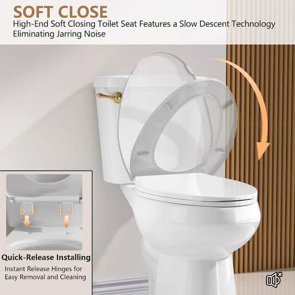 Zeafive Ace 12 in. Rough in 2-Piece 19 in. Tall Toilet 1.28