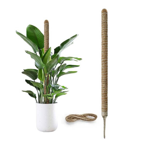 Wellco 47.2 in. Bendable Moss Pole Plant Stake for Plant Monstera Climbing Plants with Jute Rope (2-Pack)