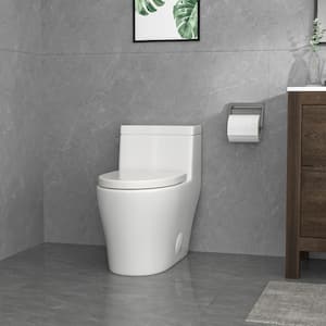 12 in. Rough-In 1-Piece 1.28/1.1 GPF Single Flush Elongated Toilet in White, Soft Close Seat Included