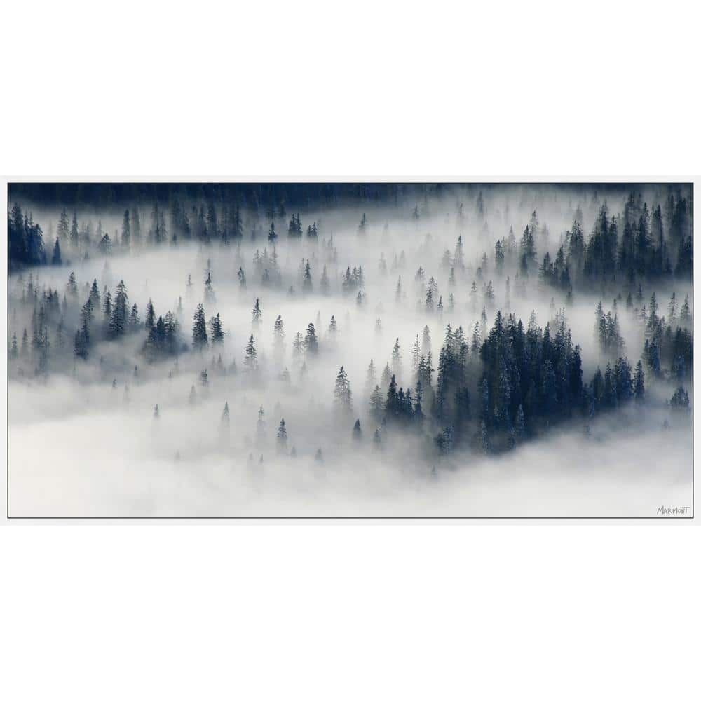 My Zen Place by Marmont Hill Floater Framed Canvas Nature Art Print 18 in. 