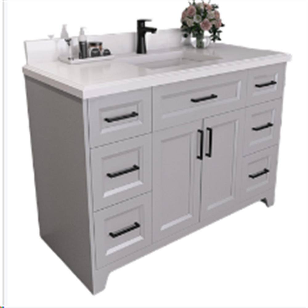 48 in. W Bathroom Vanity with Double Ceramic Under-mount Sink Combo, Carrar
