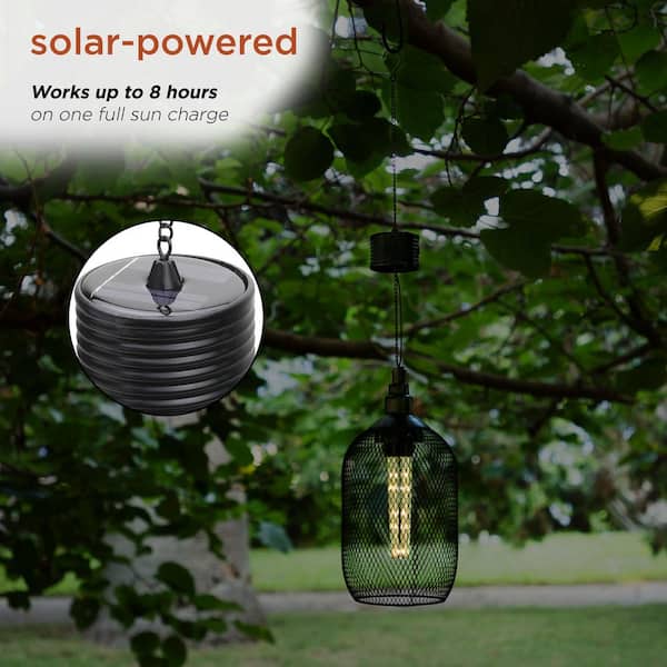 Alpine Corporation 12 in. Tall 24-Light Black Hanging Solar