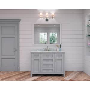 Riverdale 48 in. W x 21 in. D Vanity in Dove Grey with a Cultured Marble Vanity Top in White with White Sink