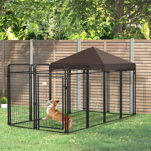 Lucky Dog Lodge - dog activities  Dog playground, Dog kennel outdoor, Outdoor  dog