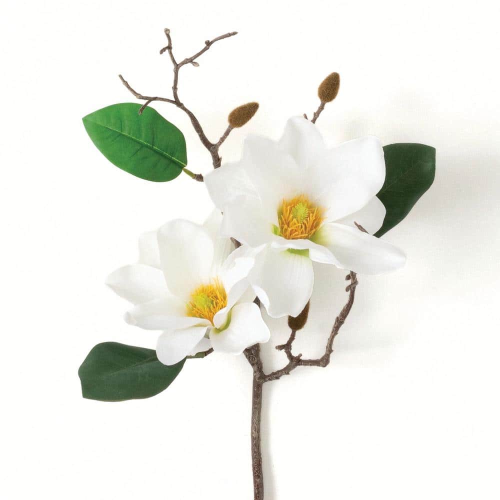 SULLIVANS 26 in. White Indoor Artificial Magnolia Flower