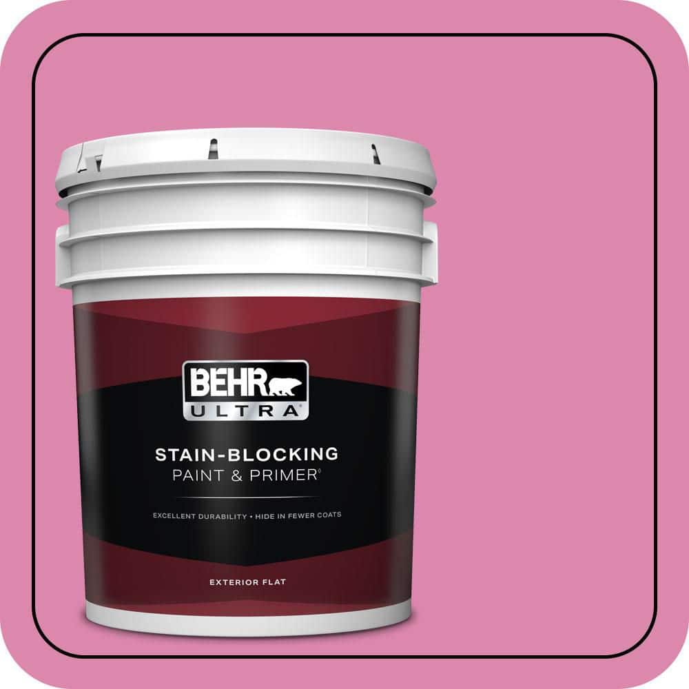 5 gal. #100B-5 Springtime Bloom Flat Exterior Paint & Primer price history on PriceWatchPro