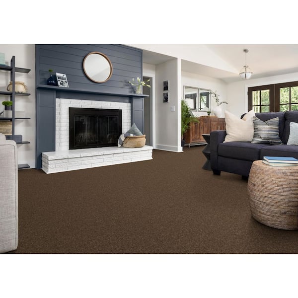 TrafficMaster Alpine - Adventure - Brown 15 ft. 17.3 oz. Polyester