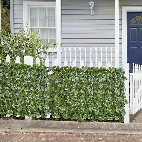 32 in. W x 50 in. H Artificial Ivy Hedges Fold Single Side