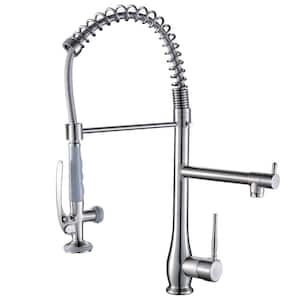 Silver Single-Handle Faucet Pull-Down Sprayer Kitchen Faucet