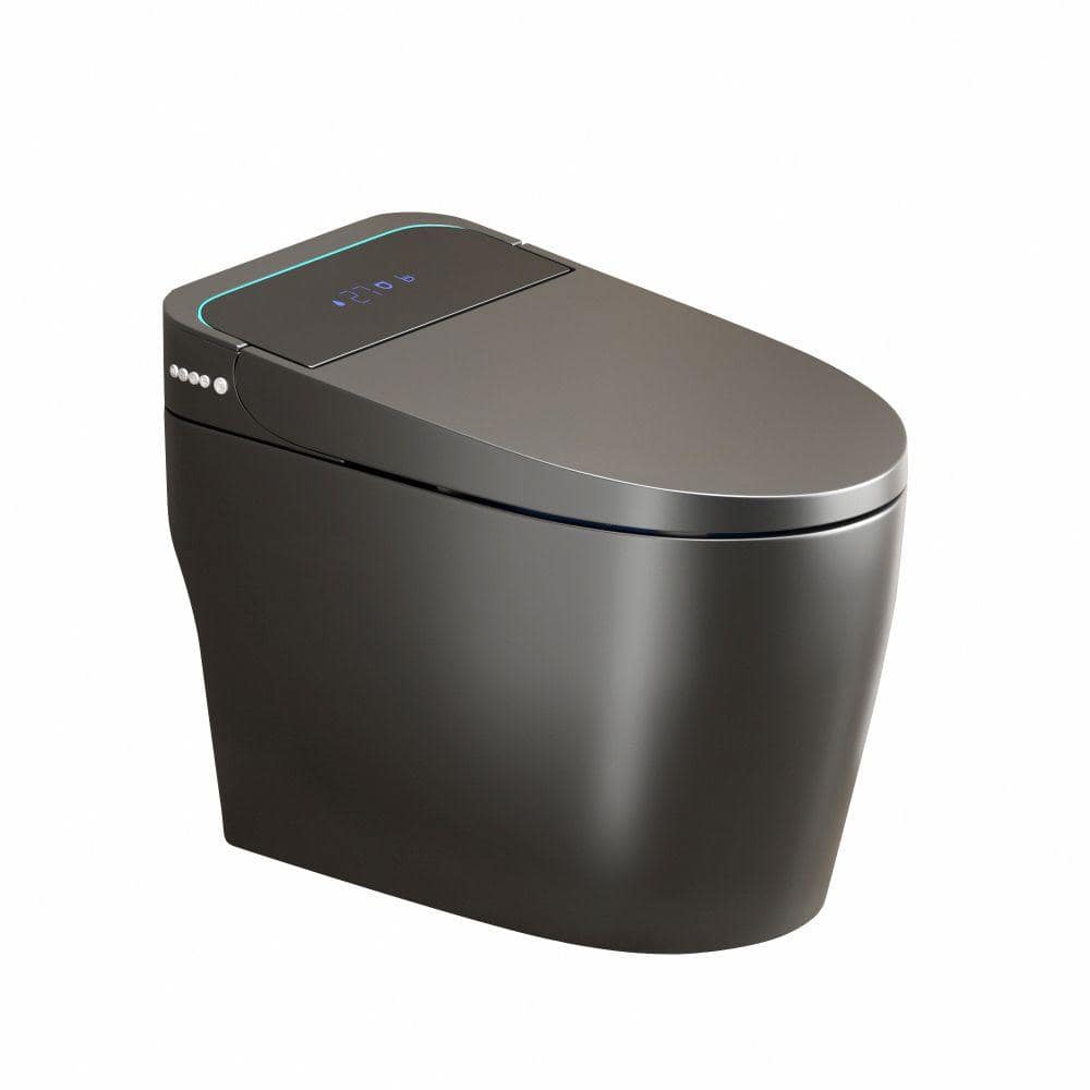 Grey One-Piece Smart Bidet Toilet, Auto Seat Lid, Foot Sensor, Warm Water Cleaning & Air Dryer price history on PriceWatchPro