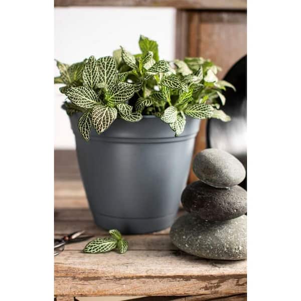 12 in. Gray Eclipse Plastic Planter with Attached Saucer - Home Depot