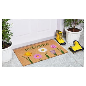 Carmine Indoor, Outdoor Door Mat 17 in. x 29 in.