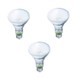65-Watt BR30 Incandescent DuraMax Dimmable Flood Light Bulb (3-Pack)