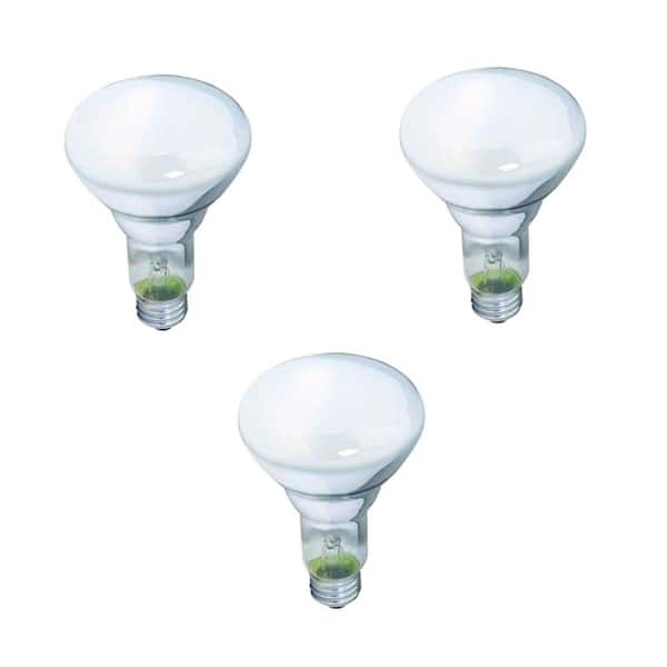 Philips 65-Watt BR30 Incandescent DuraMax Dimmable Flood Light Bulb (3-Pack)