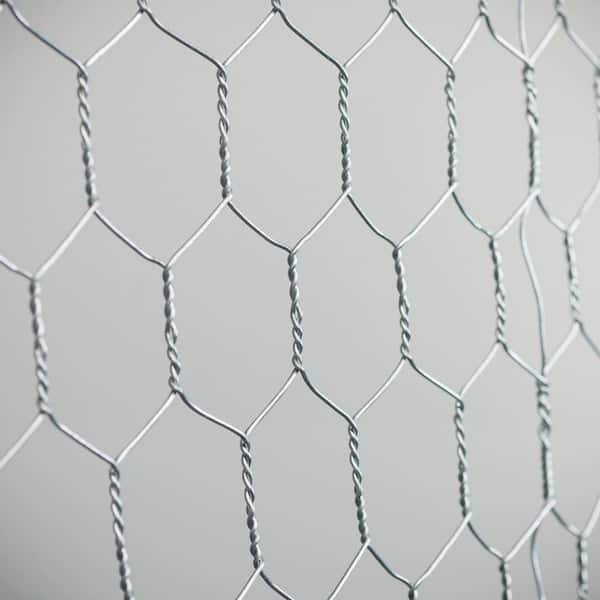 Galvanized Poultry Net Metal Mesh Fencing Chicken Wire 2 Holes Rustic  72x150