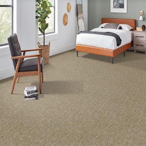 Denfort - Artisan Hue-Brown 70 oz. Triexta PET Texture Installed Carpet